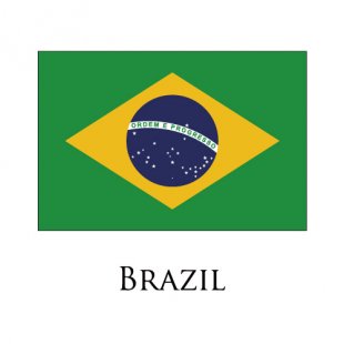 Brazil flag logo Sticker Heat Transfer