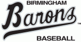 Birmingham Barons 1993-2007 Primary Logo decal sticker