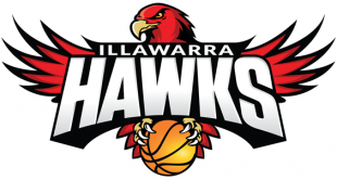 Illawarra Hawks 2015 16-Pres Primary Logo Sticker Heat Transfer