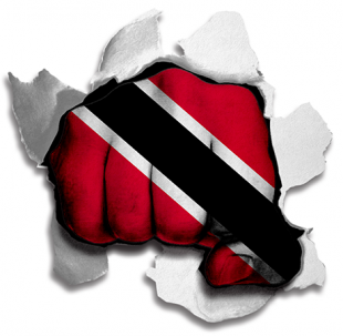 Fist Trinidad And Tobago Flag Logo Sticker Heat Transfer
