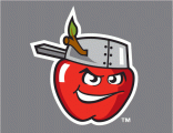 Fort Wayne Tincaps 2008-Pres Cap Logo 2 Sticker Heat Transfer