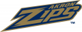 Akron Zips 2002-2013 Wordmark Logo decal sticker