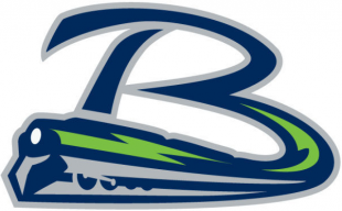 Bloomington Thunder 2014 15-Pres Secondary Logo Sticker Heat Transfer