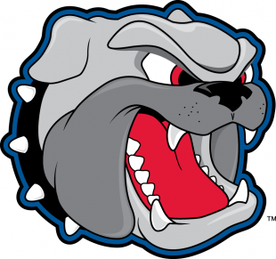 North CarolinaAsheville Bulldogs 1998-Pres Secondary Logo Sticker Heat Transfer
