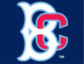 Brooklyn Cyclones 2001-Pres Cap Logo Sticker Heat Transfer