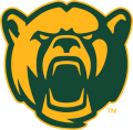 Baylor Bears 2005-2018 Alternate Logo 09 Sticker Heat Transfer