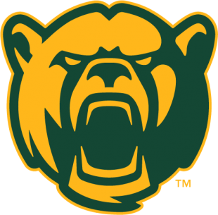 Baylor Bears 2005-2018 Alternate Logo 09 decal sticker