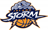 Island Storm 2013-Pres Primary Logo decal sticker