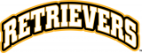 UMBC Retrievers 2010-Pres Wordmark Logo 03 Sticker Heat Transfer