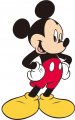 Mickey Mouse Logo 14 Sticker Heat Transfer