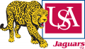 South Alabama Jaguars 1993-2007 Primary Log decal sticker