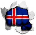 Fist Iceland Flag Logo Sticker Heat Transfer
