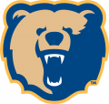 Morgan State Bears 2002-Pres Secondary Logo 01 decal sticker