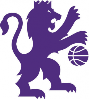 Sacramento Kings 2016-2017 Pres Alternate Logo Sticker Heat Transfer