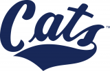 Montana State Bobcats 2004-Pres Wordmark Logo decal sticker