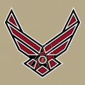 Airforce Arizona Diamondbacks Logo decal sticker