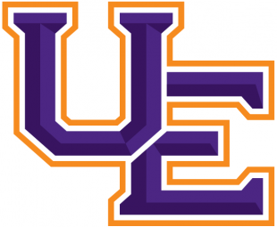 Evansville Purple Aces 2019-Pres Primary Logo decal sticker