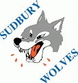 Sudbury Wolves 1989 90-2008 09 Primary Logo decal sticker