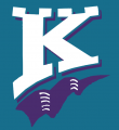 Charlotte Knights 1994-1998 Cap Logo decal sticker
