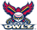 Orem Owlz 2005-Pres Primary Logo decal sticker