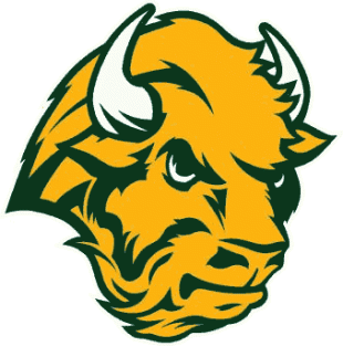 North Dakota State Bison 2005-2011 Alternate Logo 04 decal sticker