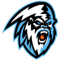 Winnipeg Ice 2019 20-Pres Primary Logo Sticker Heat Transfer