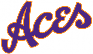 Evansville Purple Aces 2019-Pres Alternate Logo decal sticker