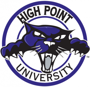 High Point Panthers 2004-2011 Alternate Logo 01 decal sticker