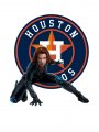 Houston Astros Black Widow Logo Sticker Heat Transfer