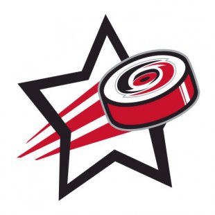 Carolina Hurricanes Hockey Goal Star logo decal sticker