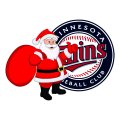 Minnesota Twins Santa Claus Logo Sticker Heat Transfer