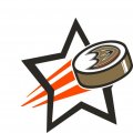 Anaheim Ducks Hockey Goal Star logo Sticker Heat Transfer