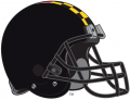 Maryland Terrapins 2000-Pres Helmet 02 decal sticker