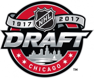 NHL Draft 2016-2017 Logo decal sticker