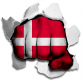 Fist Denmark Flag Logo decal sticker