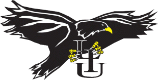 LIU-Brooklyn Blackbirds 1996-2007 Primary Logo Sticker Heat Transfer