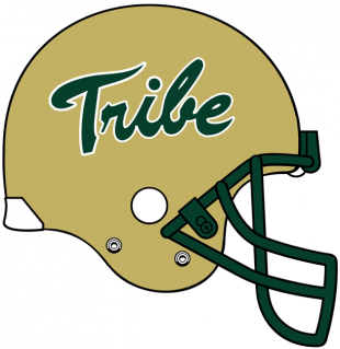 William and Mary Tribe 2009-2015 Helmet Logo decal sticker
