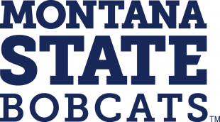 Montana State Bobcats 2013-Pres Wordmark Logo 01 decal sticker