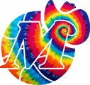 Dallas Mavericks rainbow spiral tie-dye logo decal sticker