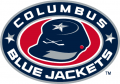 Columbus Blue Jackets 2003 04-2014 15 Alternate Logo decal sticker