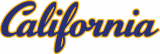 California Golden Bears 1992-Pres Wordmark Logo decal sticker