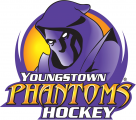 Youngstown Phantoms 2012 13-2013 14 Primary Logo Sticker Heat Transfer