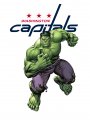 Washington Capitals Hulk Logo decal sticker
