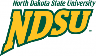 North Dakota State Bison 2005-2011 Wordmark Logo 02 Sticker Heat Transfer