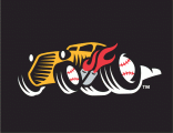Bowling Green Hot Rods 2009-2015 Batting Practice Logo Sticker Heat Transfer
