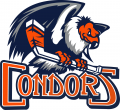 Bakersfield Condors 2018-Pres Primary Logo Sticker Heat Transfer