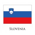Slovenia flag logo Sticker Heat Transfer