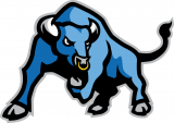 Buffalo Bulls 2007-2015 Secondary Logo 02 decal sticker