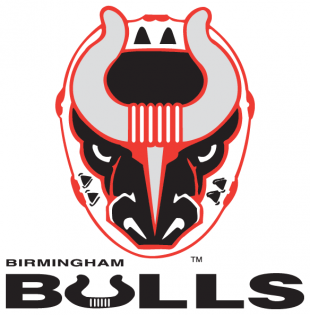 Birmingham Bulls 2017 18-Pres Primary Logo Sticker Heat Transfer