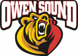 Owen Sound Attack 2011 12-Pres Primary Logo decal sticker